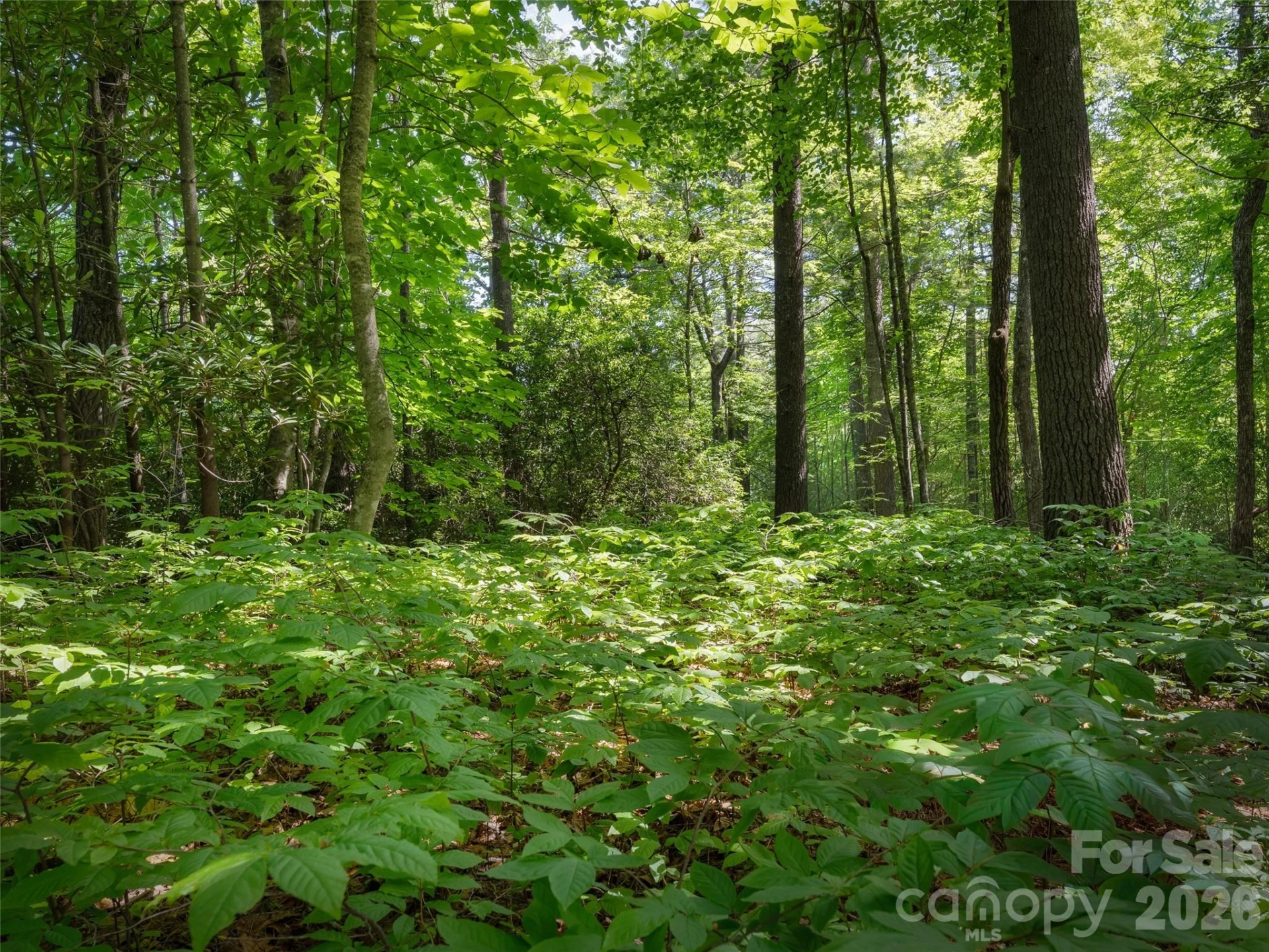 Lot 161 Eagle Lake Drive