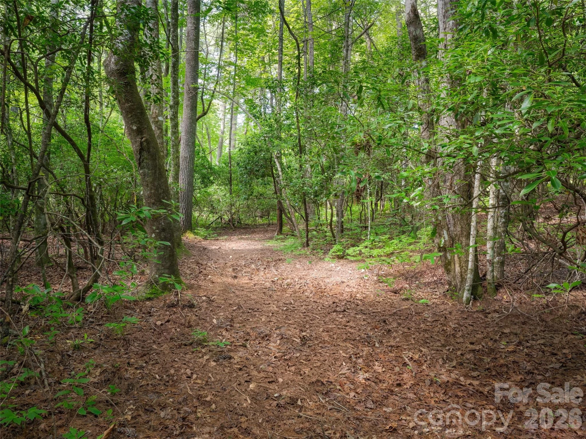 Lot 161 Eagle Lake Drive - Photo 2