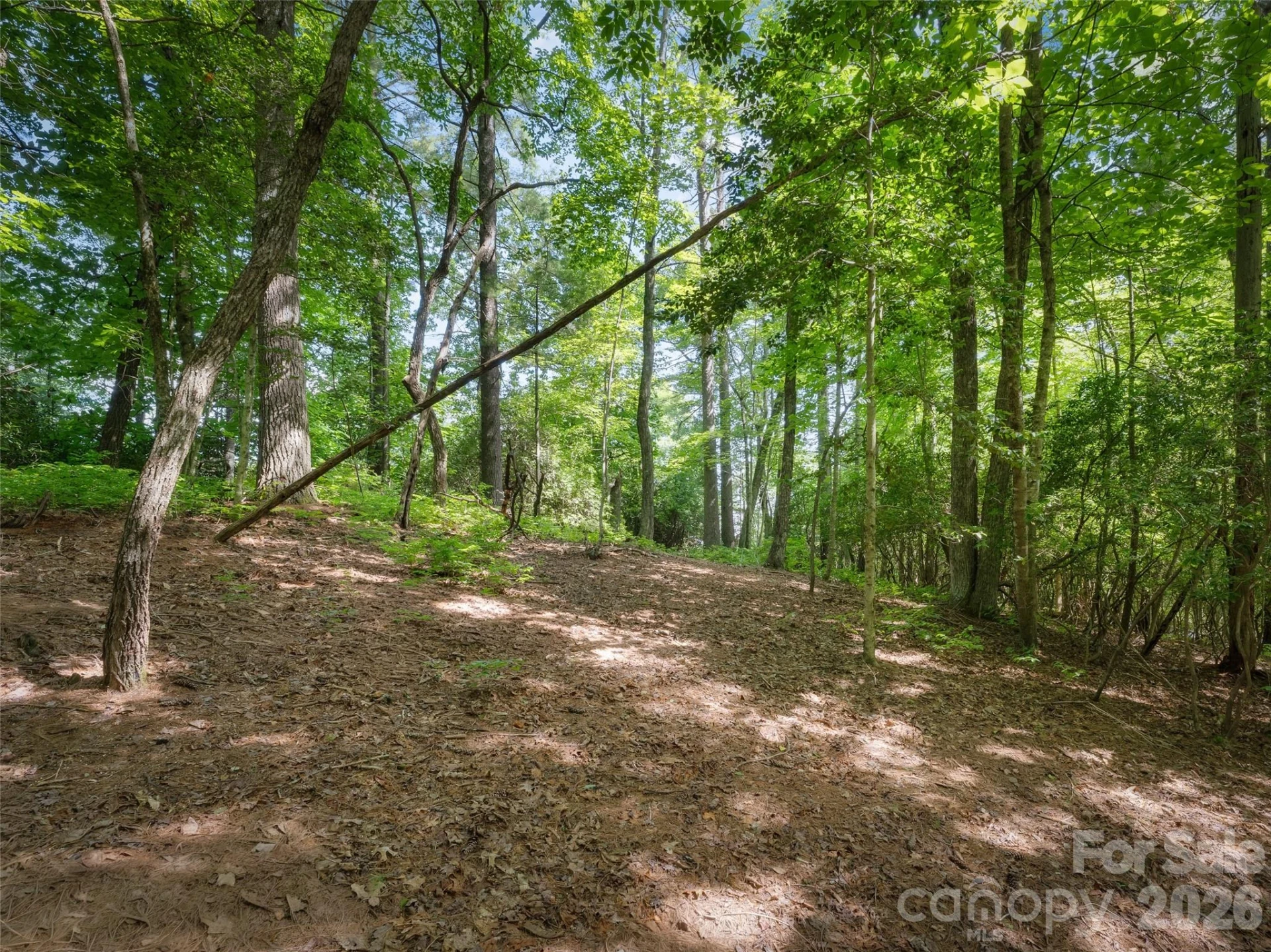 Lot 161 Eagle Lake Drive - Photo 3