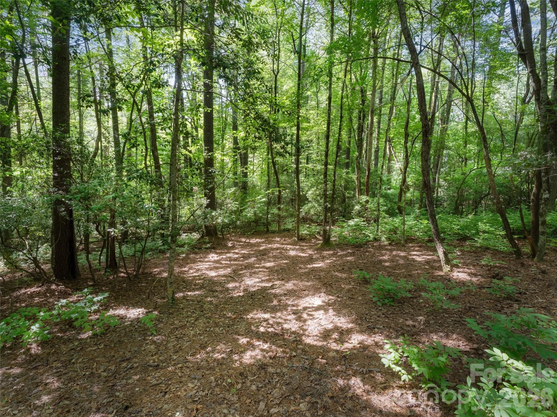 Lot 161 Eagle Lake Drive - Photo 4