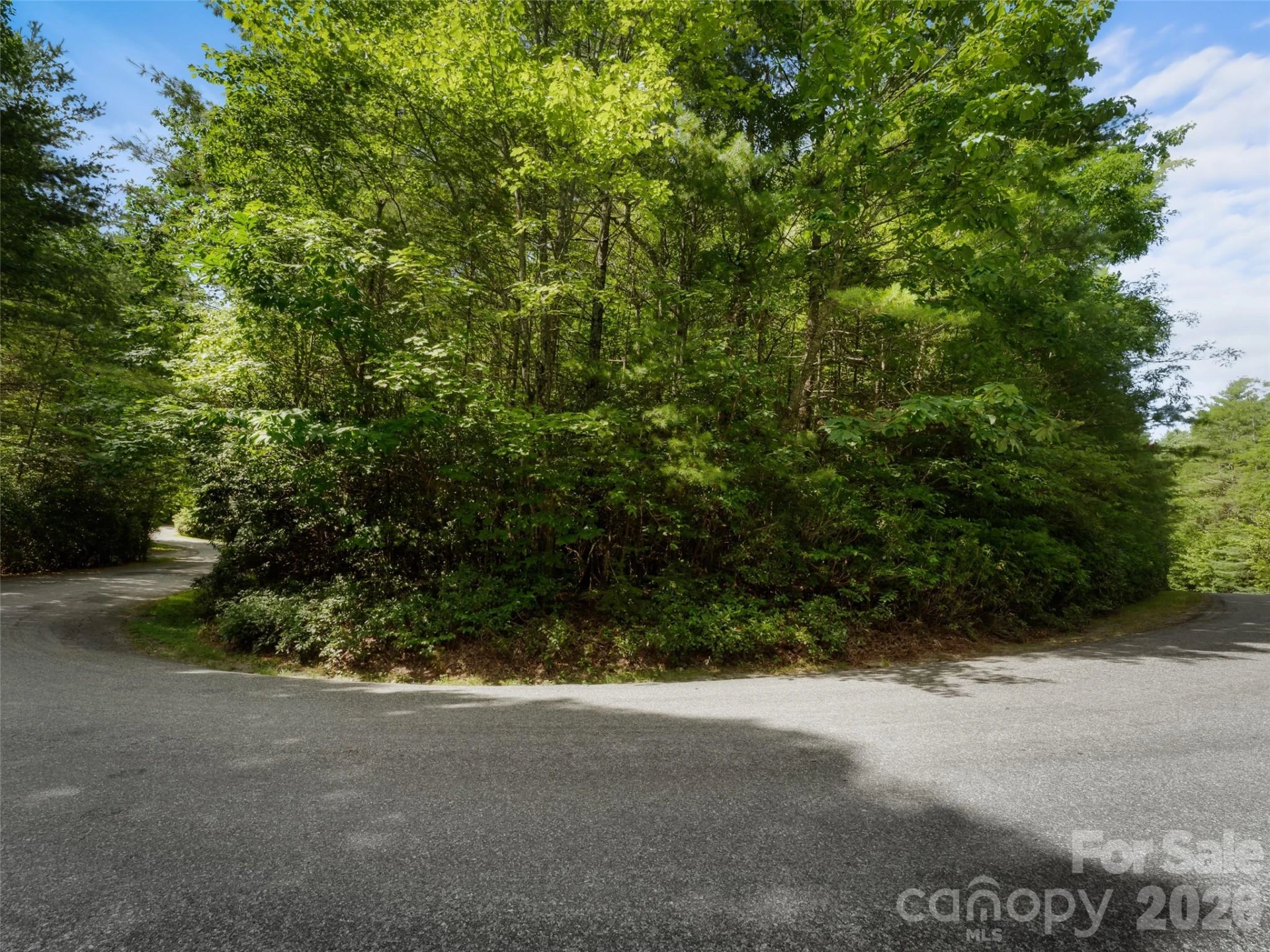Lot 161 Eagle Lake Drive - Photo 5
