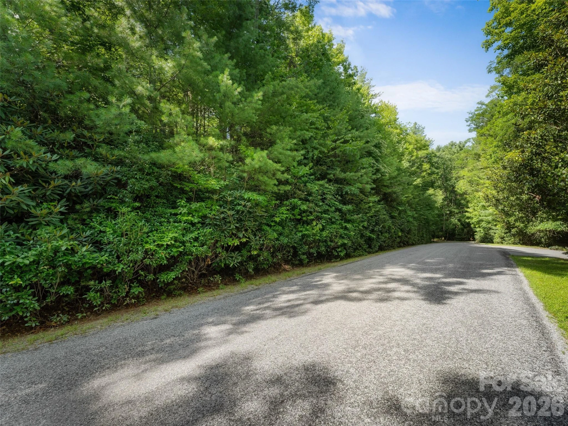 Lot 161 Eagle Lake Drive - Photo 6