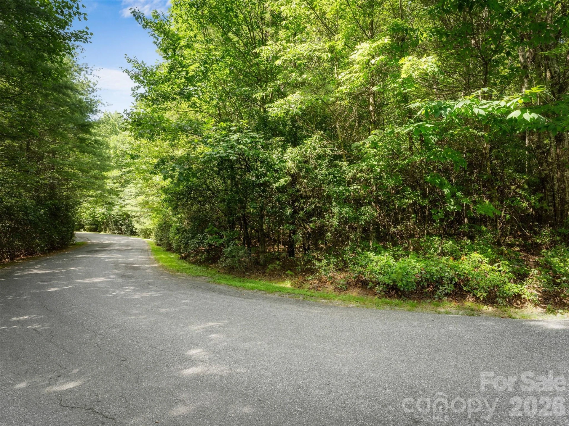 Lot 161 Eagle Lake Drive - Photo 7