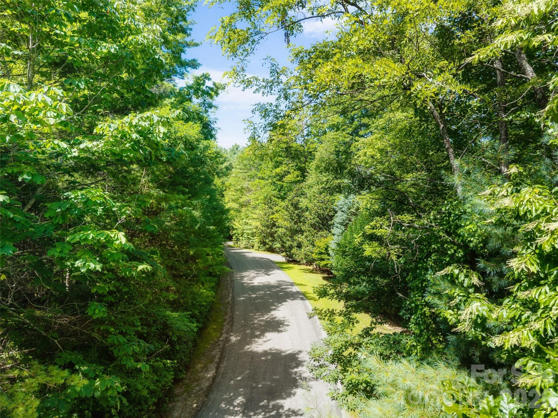Lot 161 Eagle Lake Drive - Photo 8
