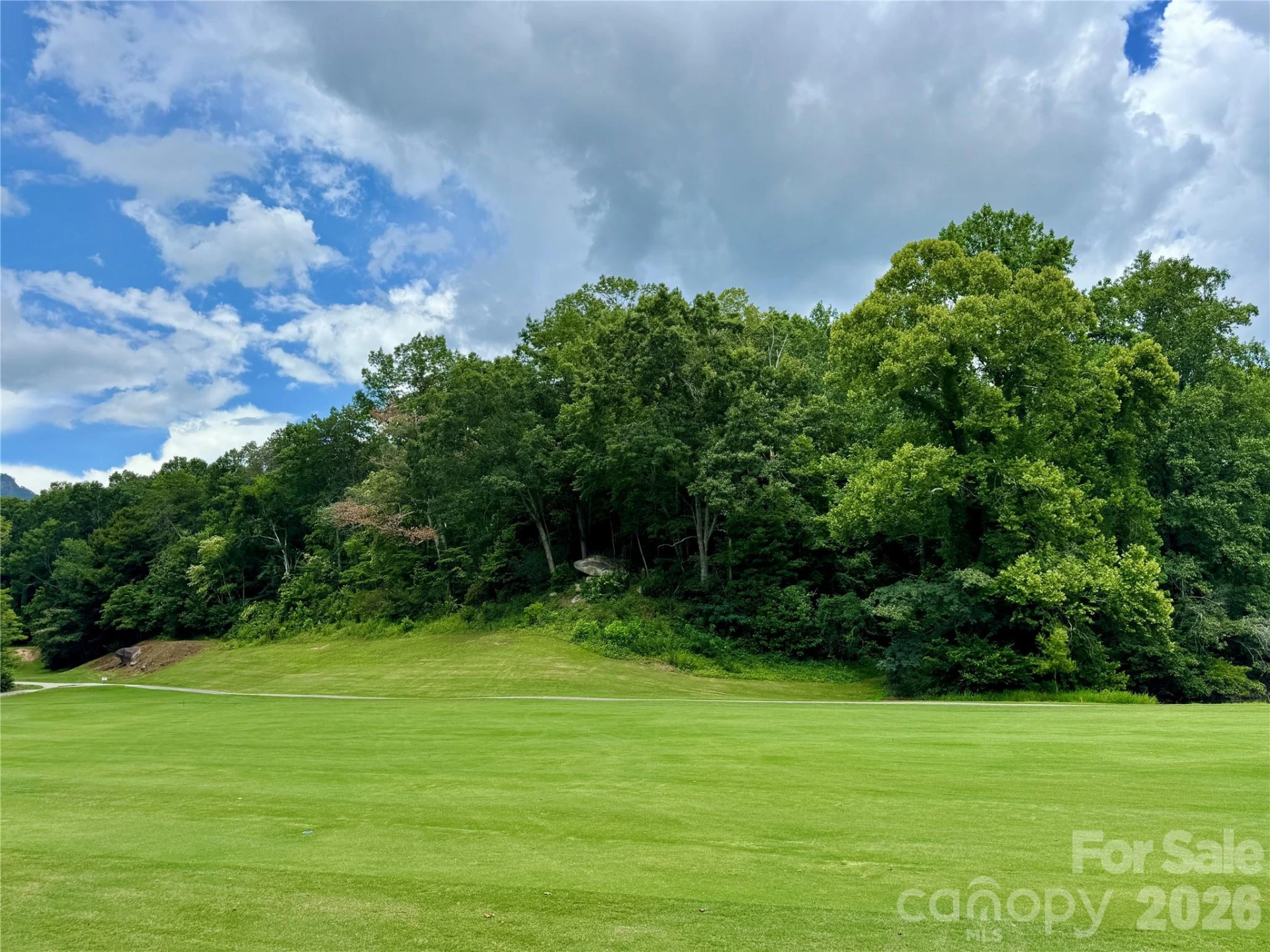307 Fairway Drive - Photo 4