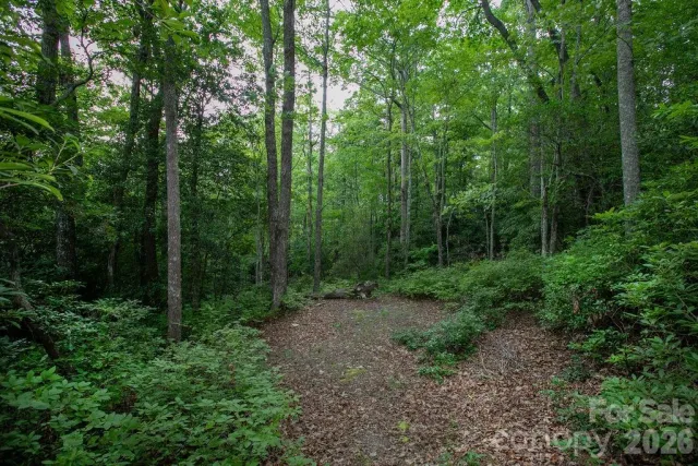 Lot 28 Big Hill Road, Brevard, NC, 28712