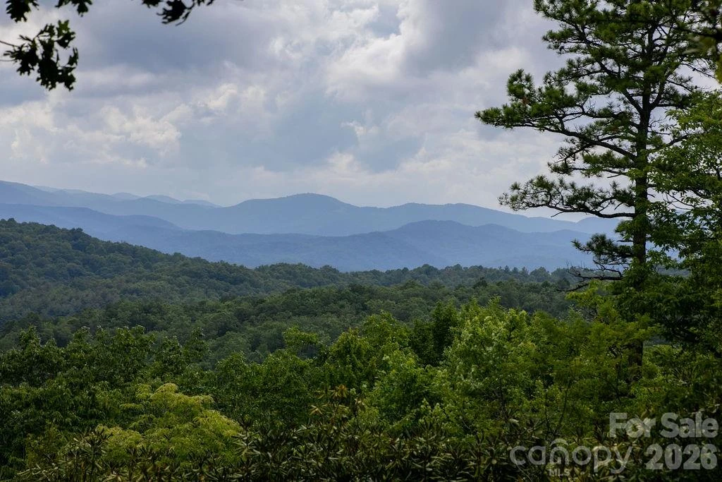 Lot 28 Big Hill Road #28 - Photo 2