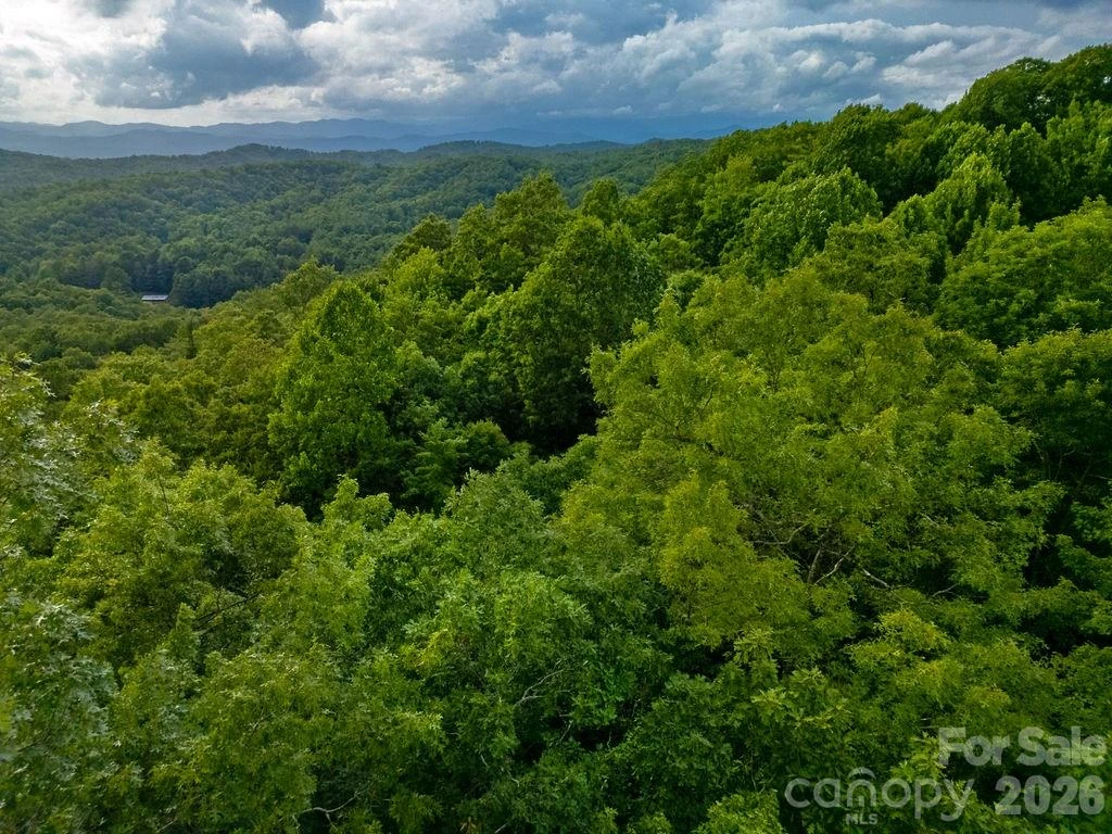 Lot 28 Big Hill Road #28 - Photo 12