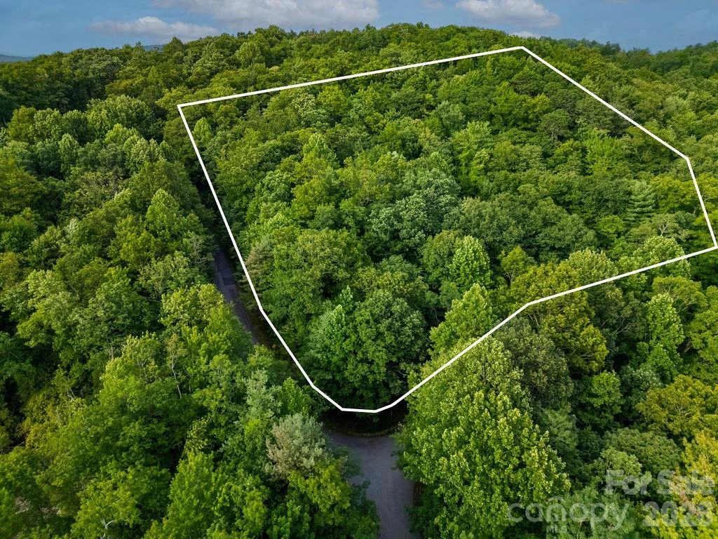 Lot 28 Big Hill Road #28 - Photo 13