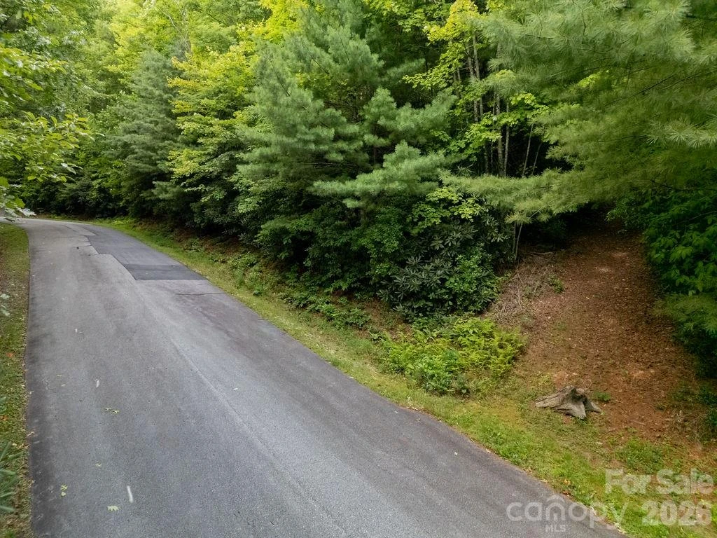 Lot 28 Big Hill Road #28 - Photo 14