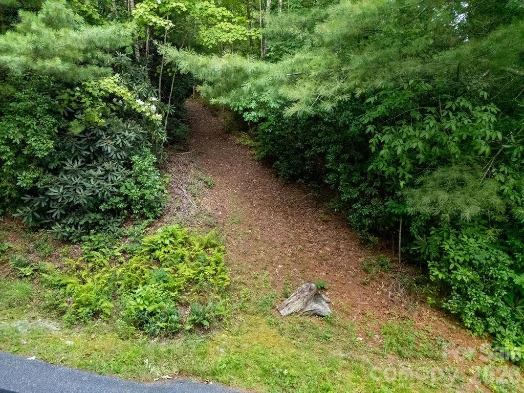 Lot 28 Big Hill Road #28 - Photo 15