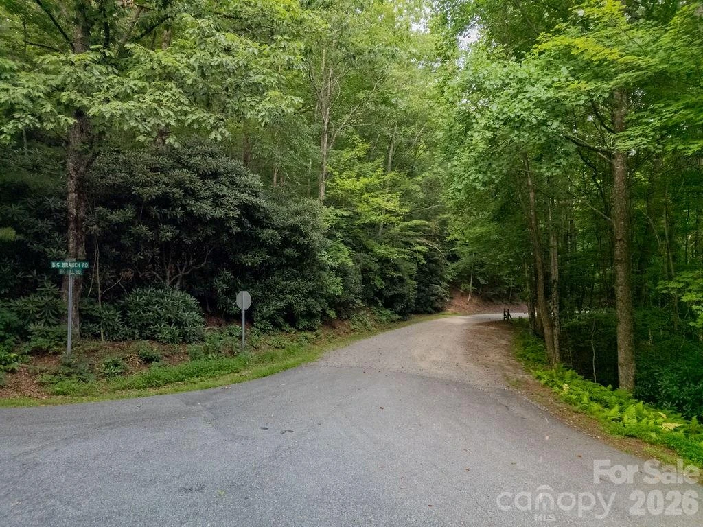 Lot 28 Big Hill Road #28 - Photo 16