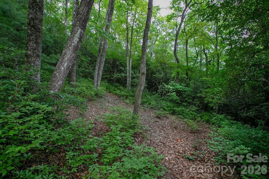 Lot 28 Big Hill Road #28 - Photo 18