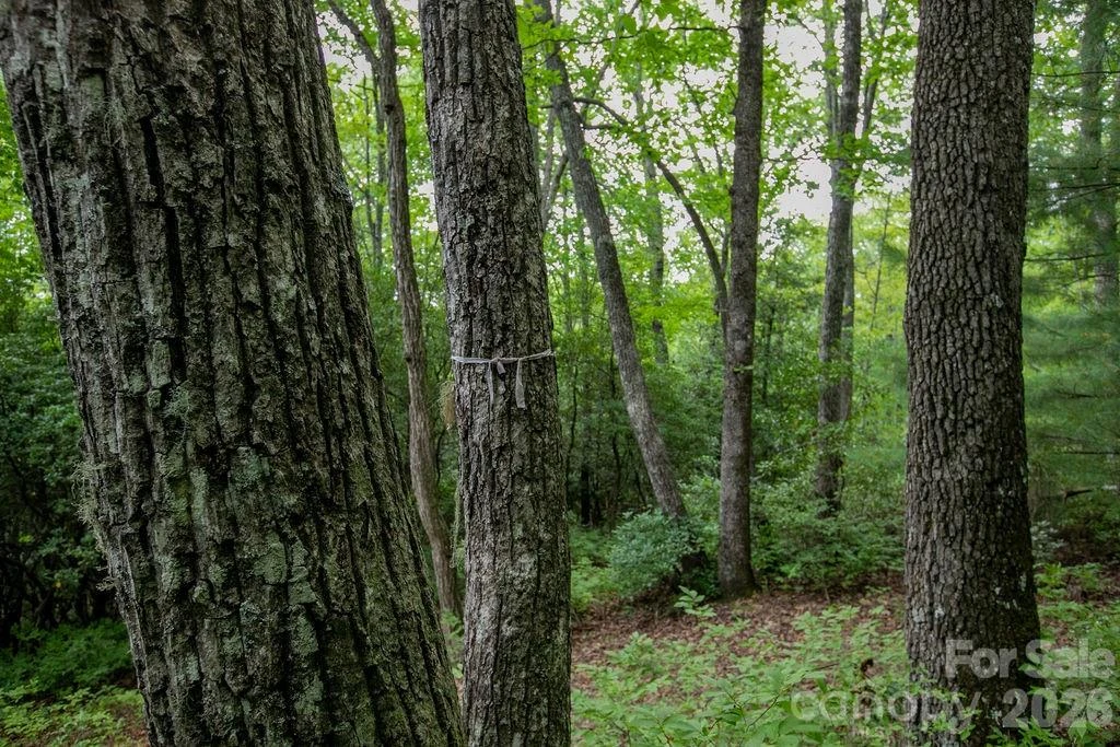 Lot 28 Big Hill Road #28 - Photo 20