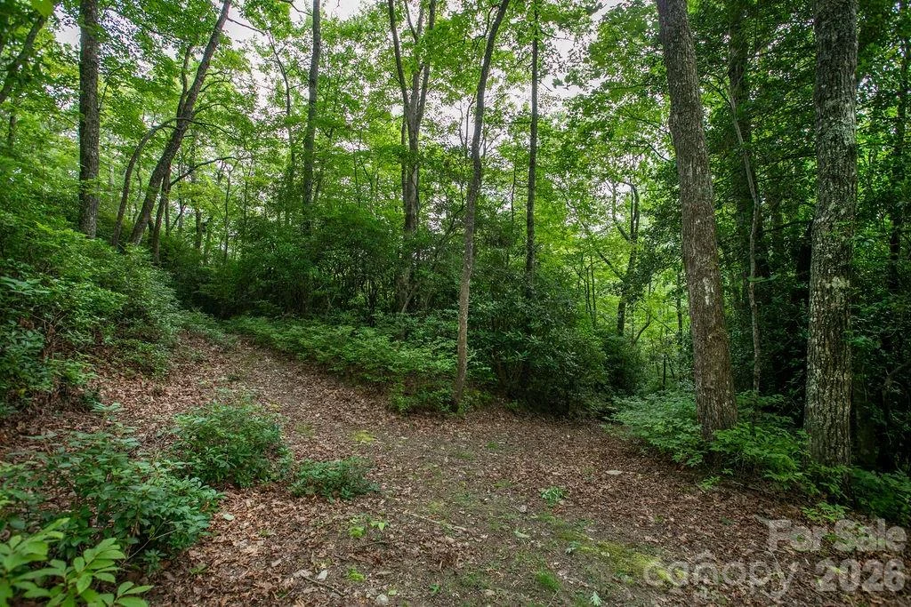 Lot 28 Big Hill Road #28 - Photo 3