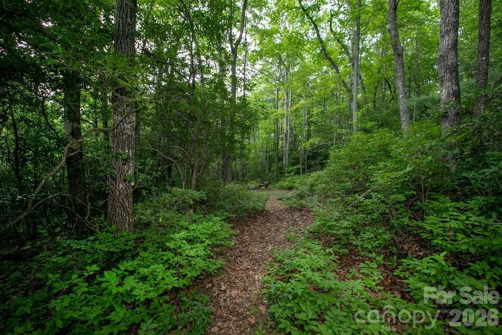 Lot 28 Big Hill Road #28 - Photo 4