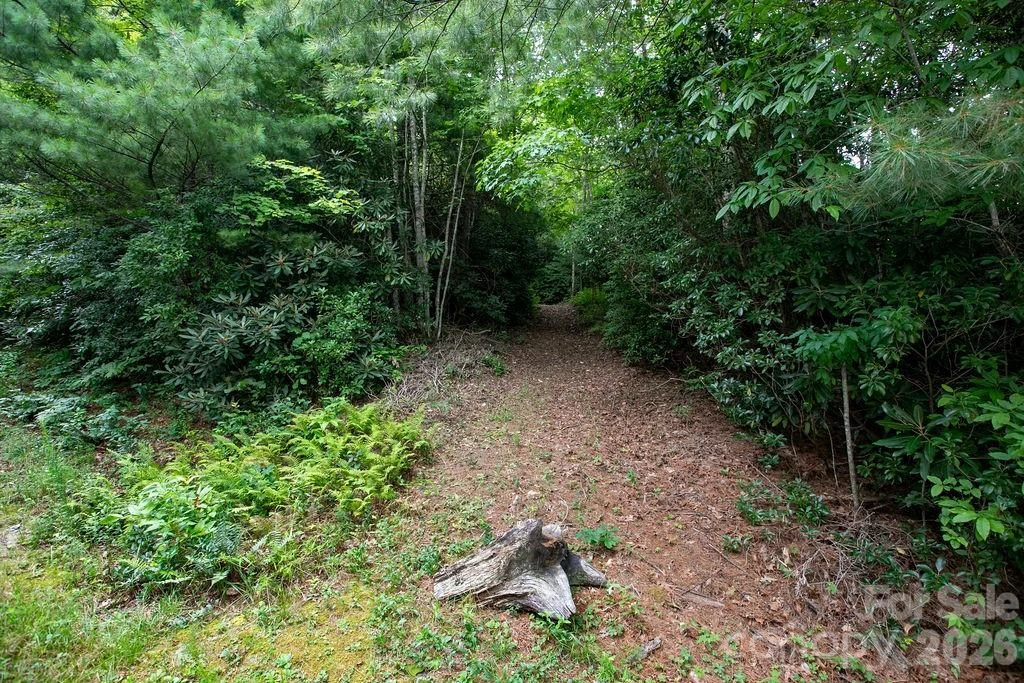 Lot 28 Big Hill Road #28 - Photo 5
