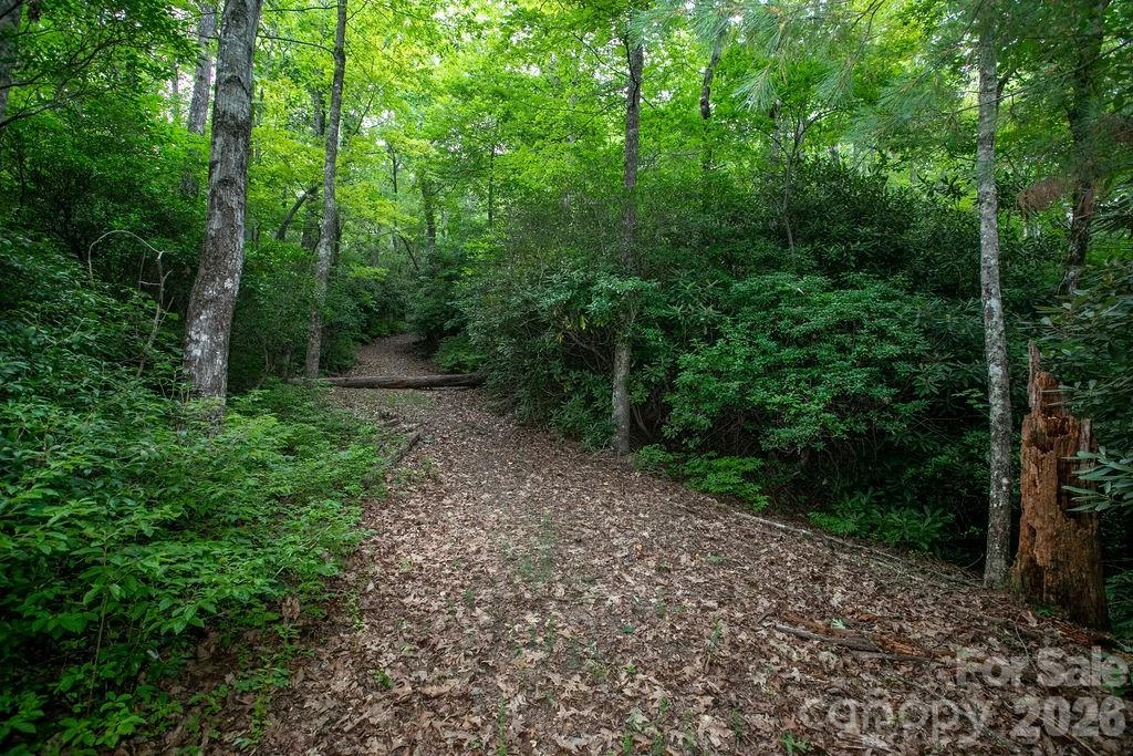 Lot 28 Big Hill Road #28 - Photo 6