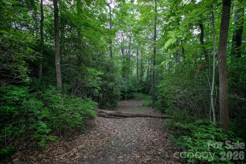 Lot 28 Big Hill Road #28 - Photo 7