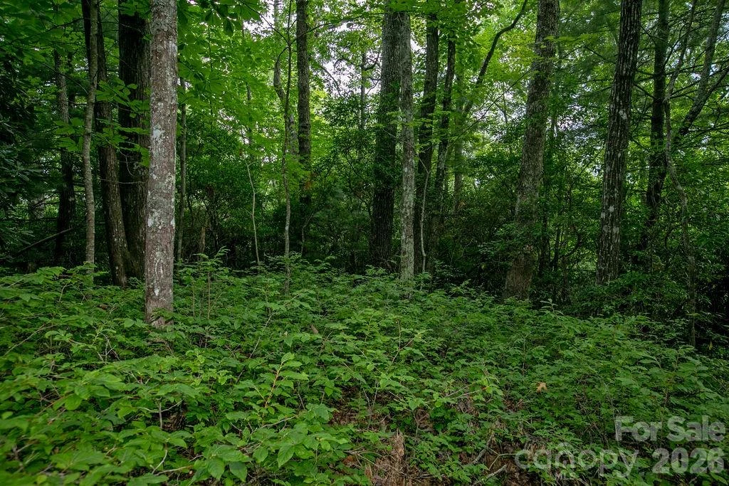 Lot 28 Big Hill Road #28 - Photo 8