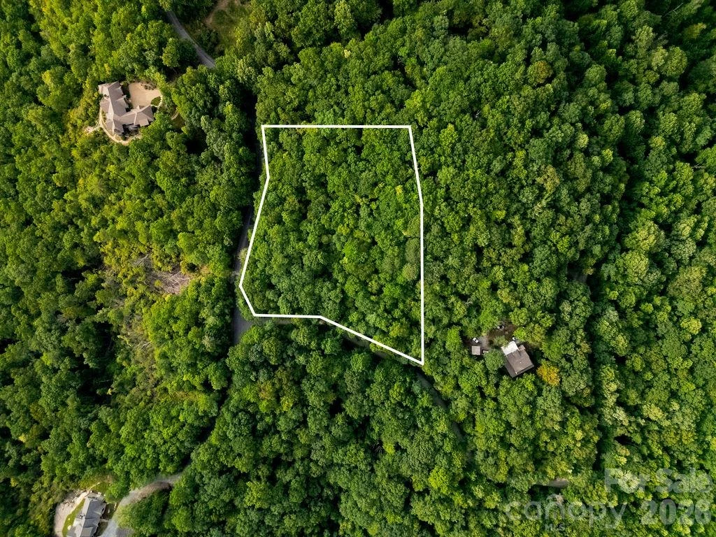 Lot 28 Big Hill Road #28 - Photo 9