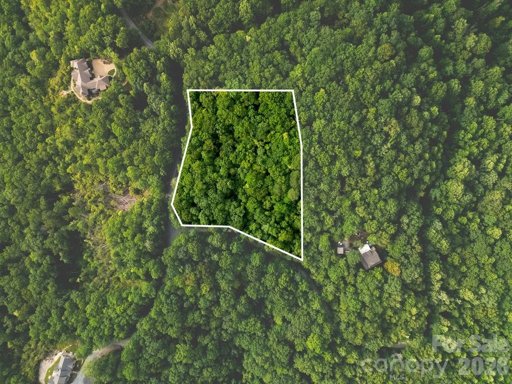 Lot 28 Big Hill Road #28 - Photo 10