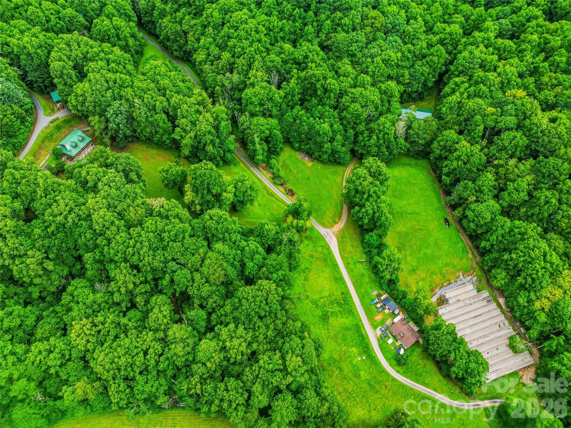 961 Wilson Branch Road - Photo 13