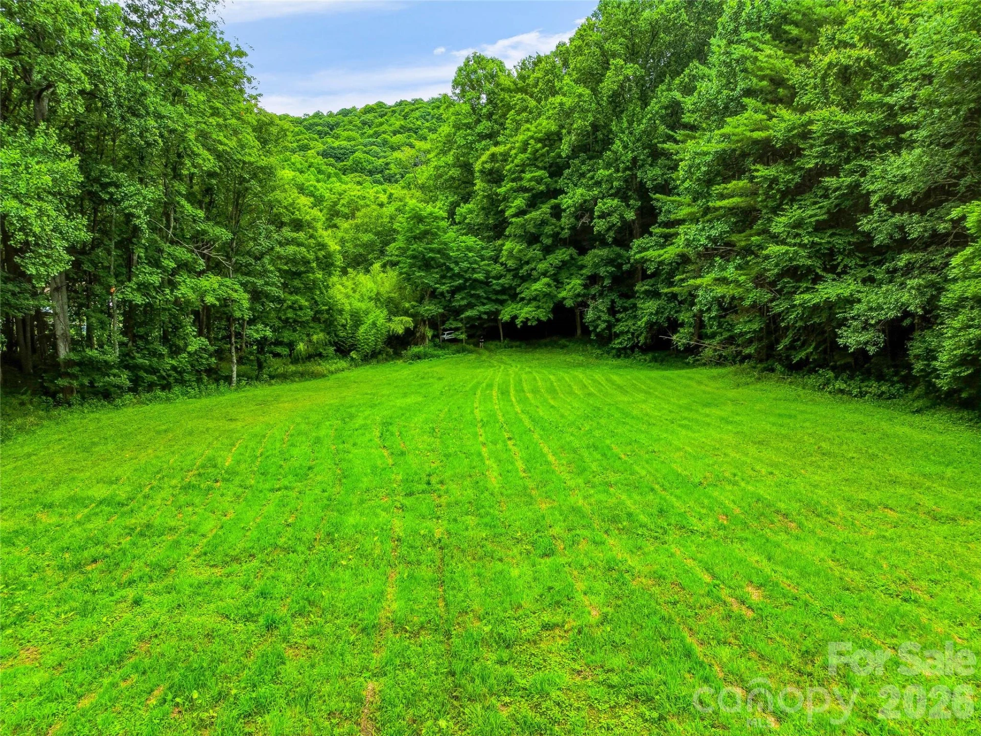 961 Wilson Branch Road - Photo 14