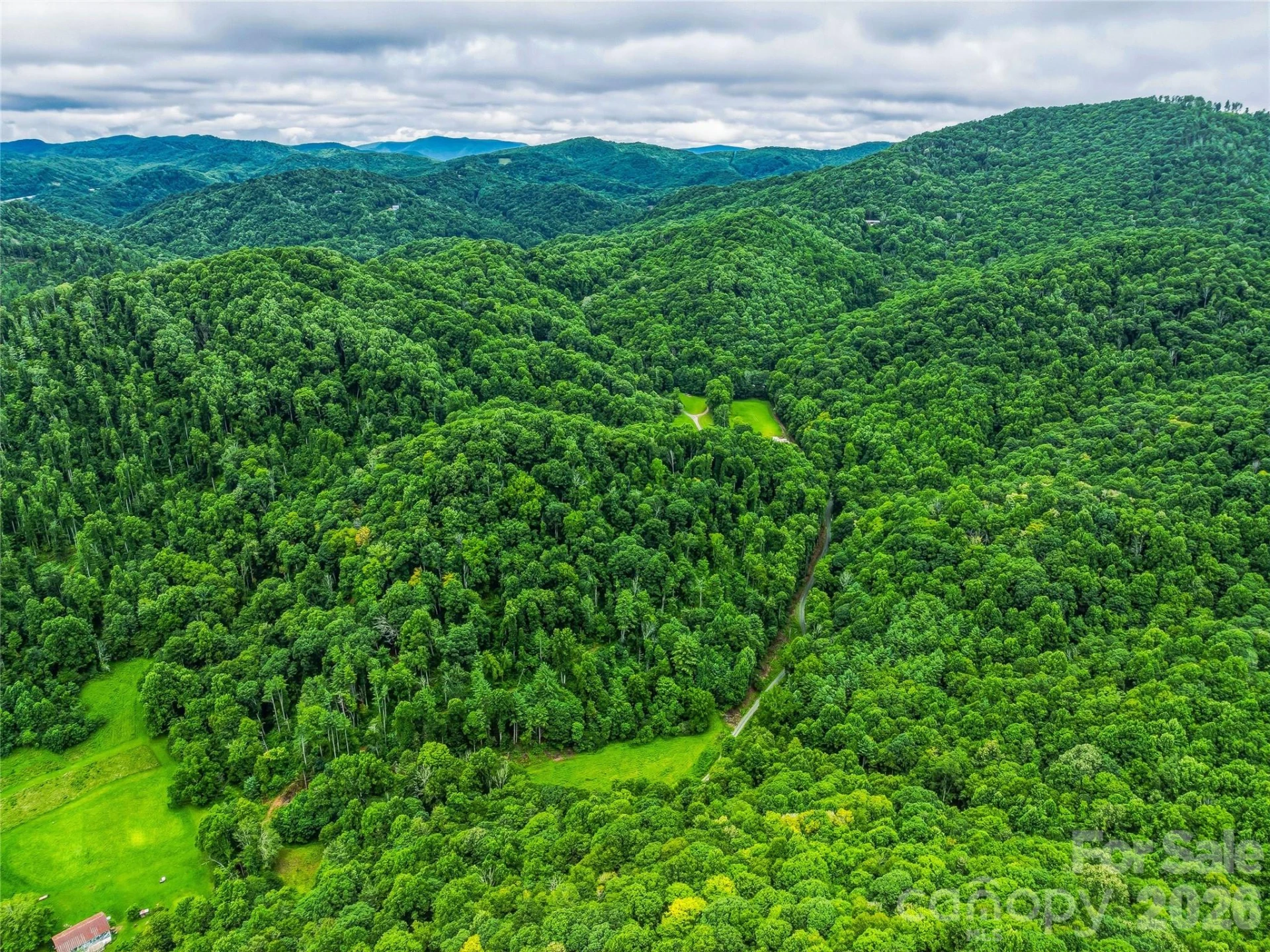 961 Wilson Branch Road - Photo 15