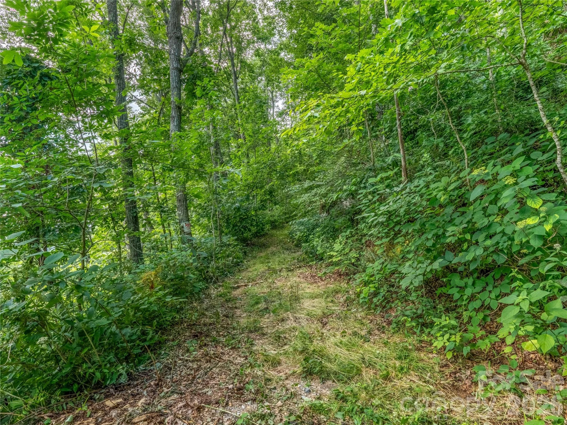 36 Cary Lane - Photo 18