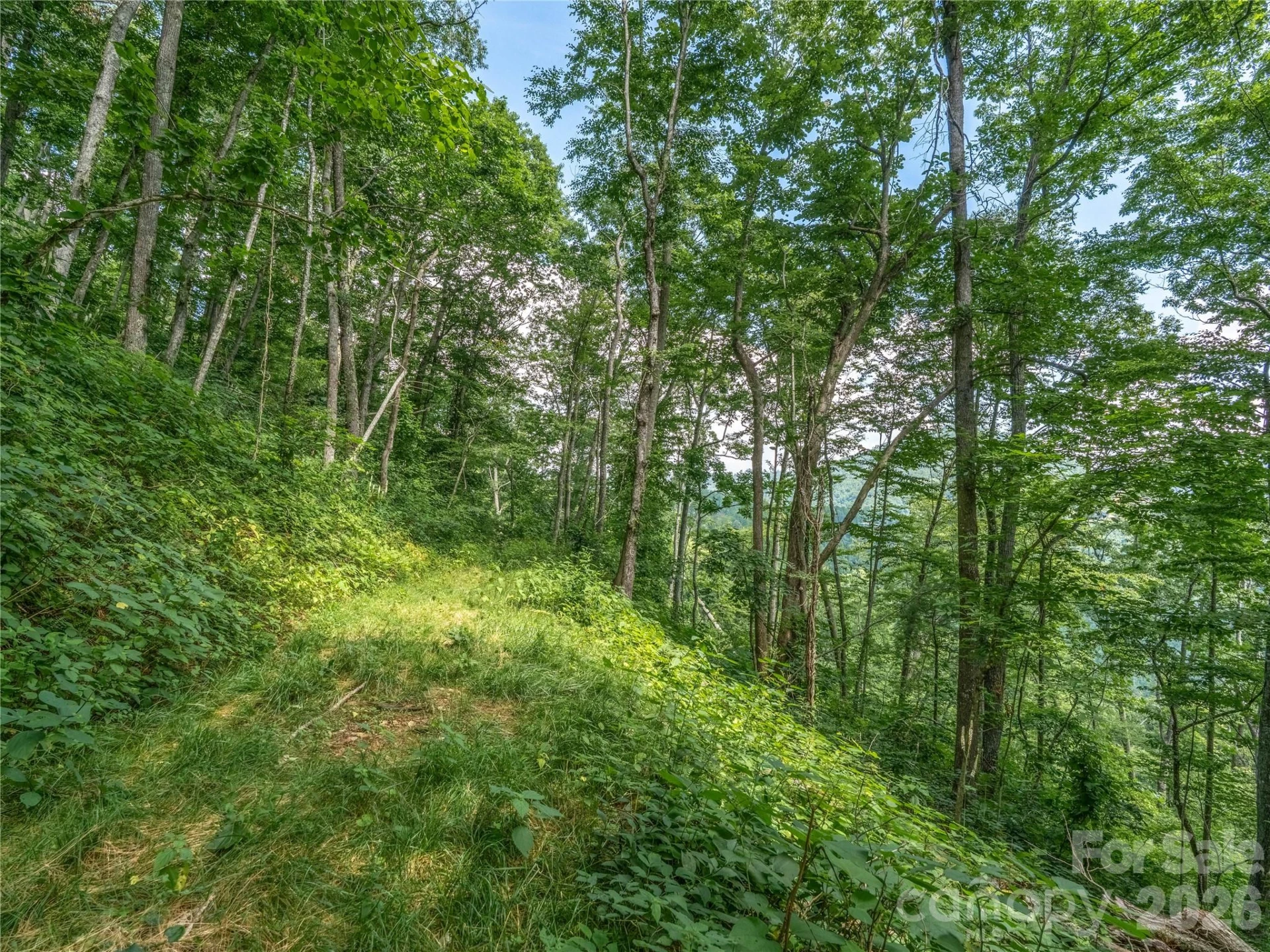 36 Cary Lane - Photo 19
