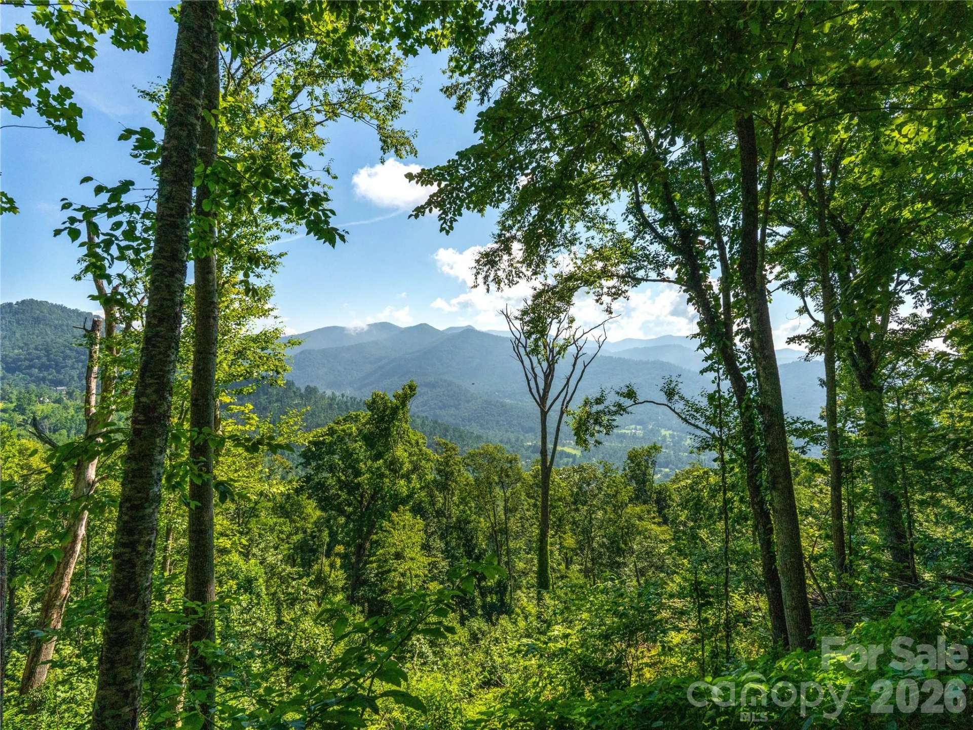 36 Cary Lane - Photo 3