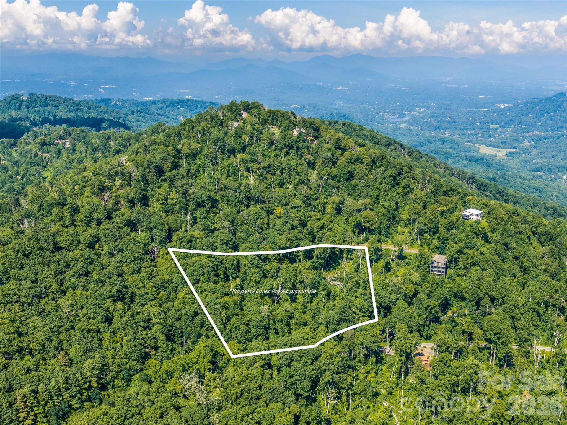 36 Cary Lane - Photo 5