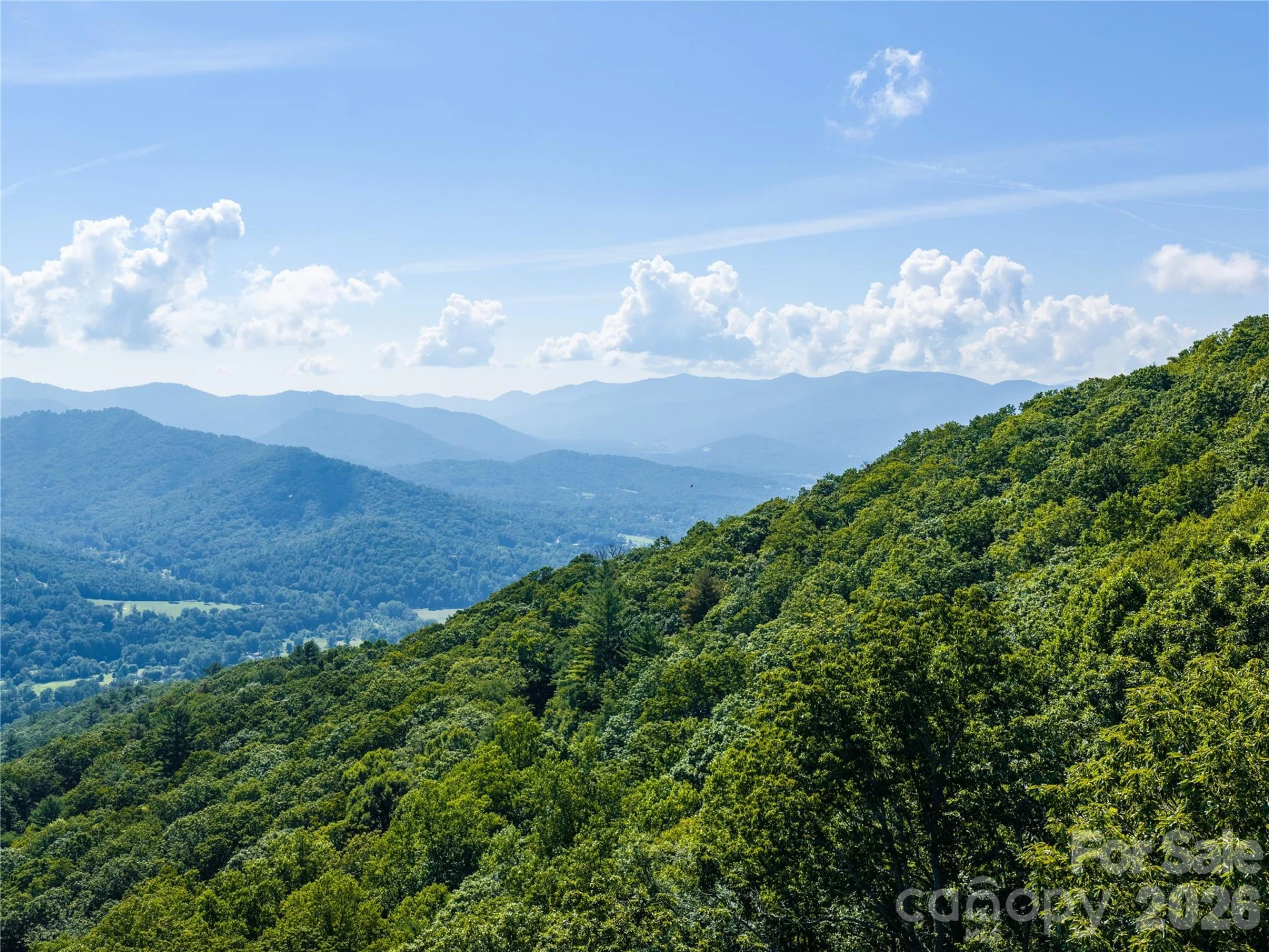 36 Cary Lane - Photo 6