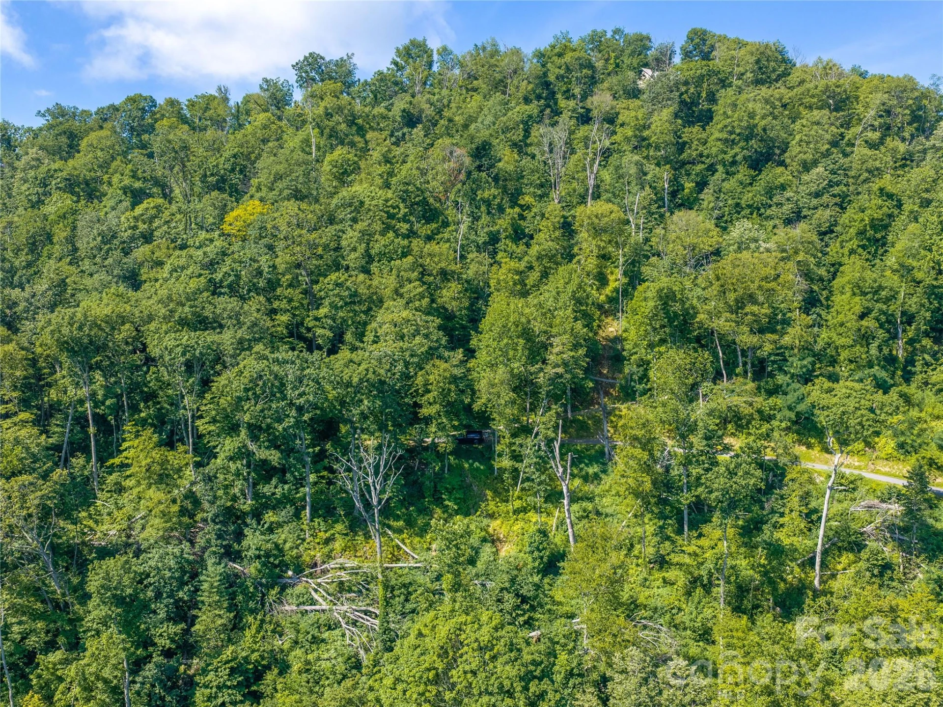 36 Cary Lane - Photo 9