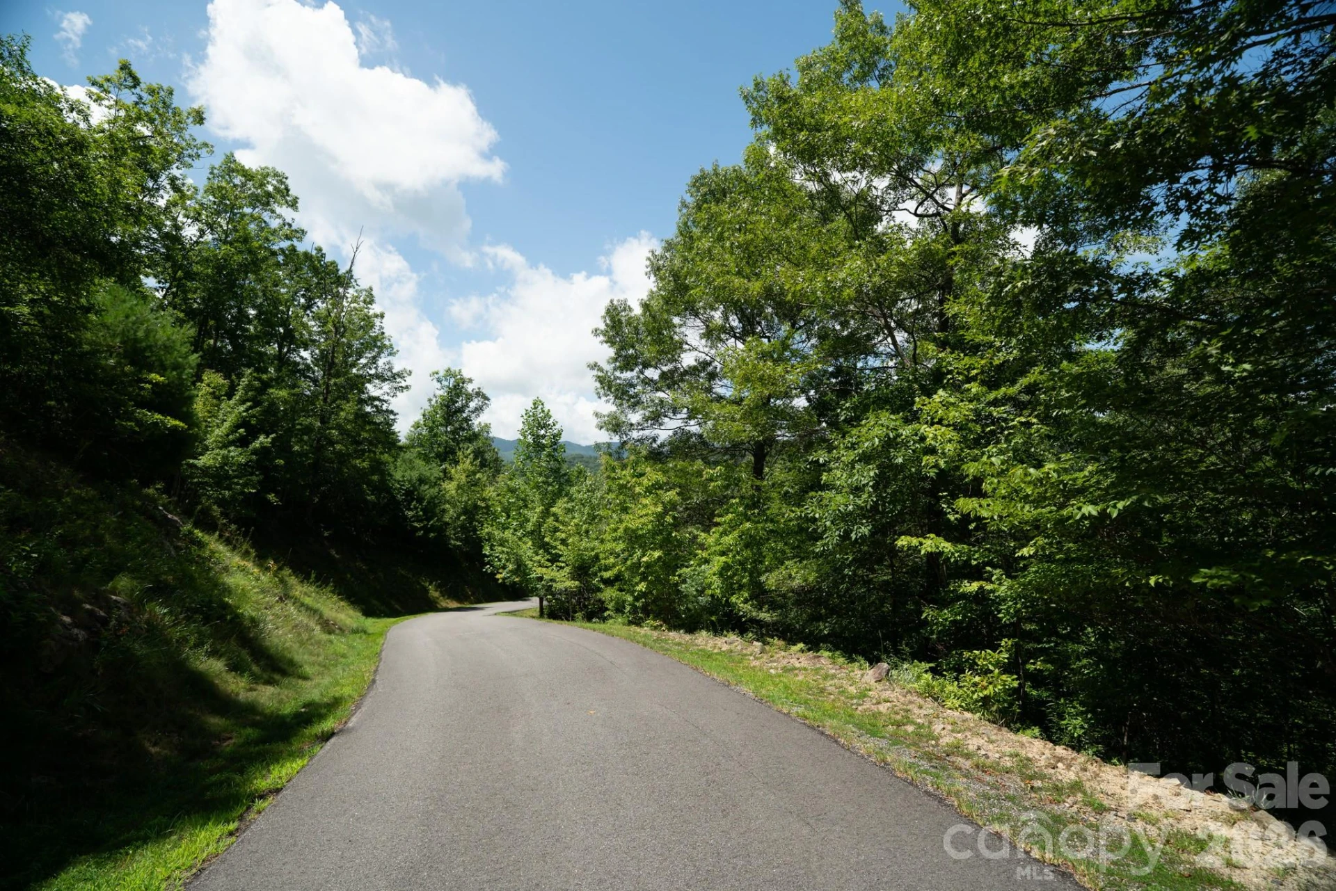 230 White Rapid Road #35 - Photo 2