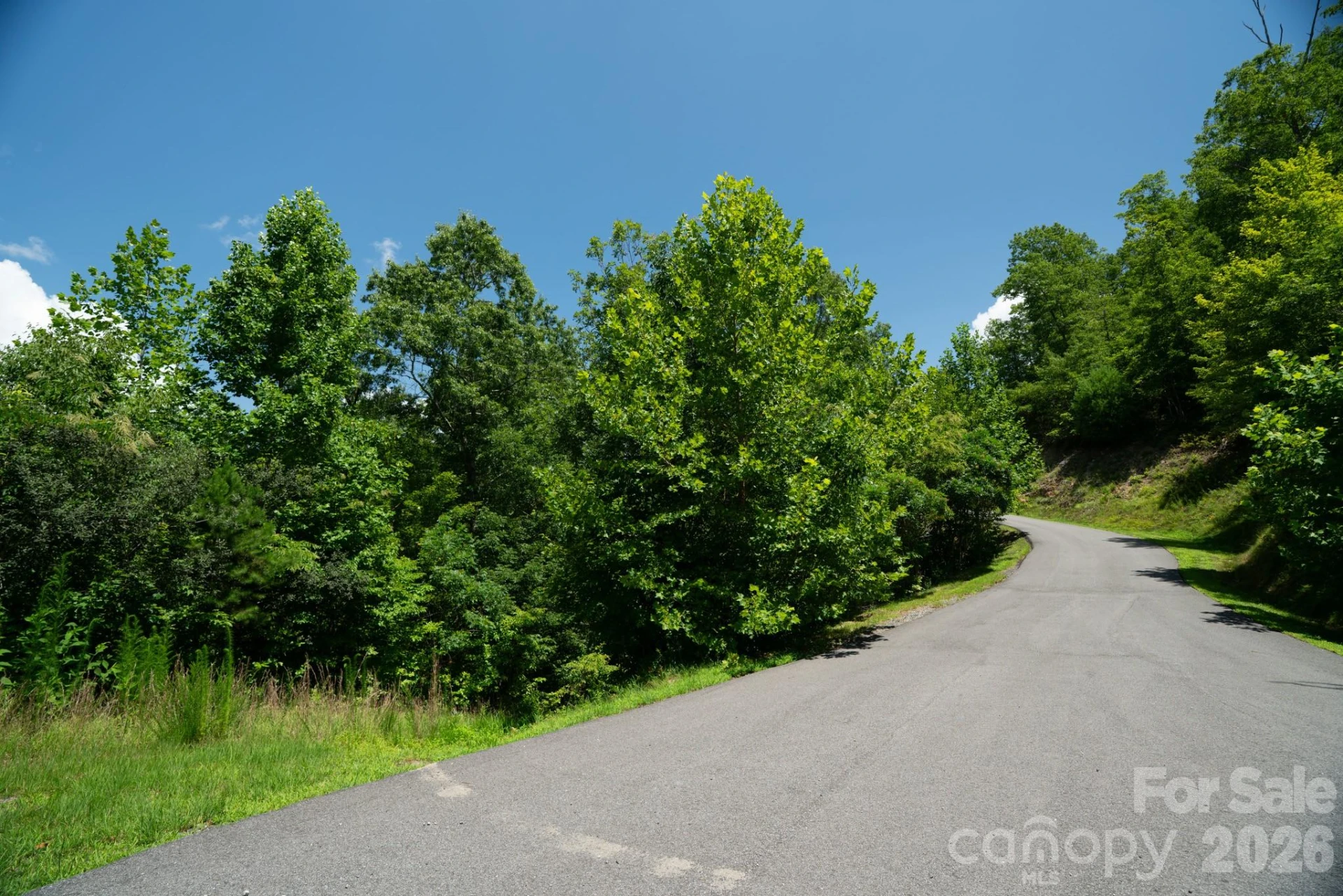 230 White Rapid Road #35 - Photo 3