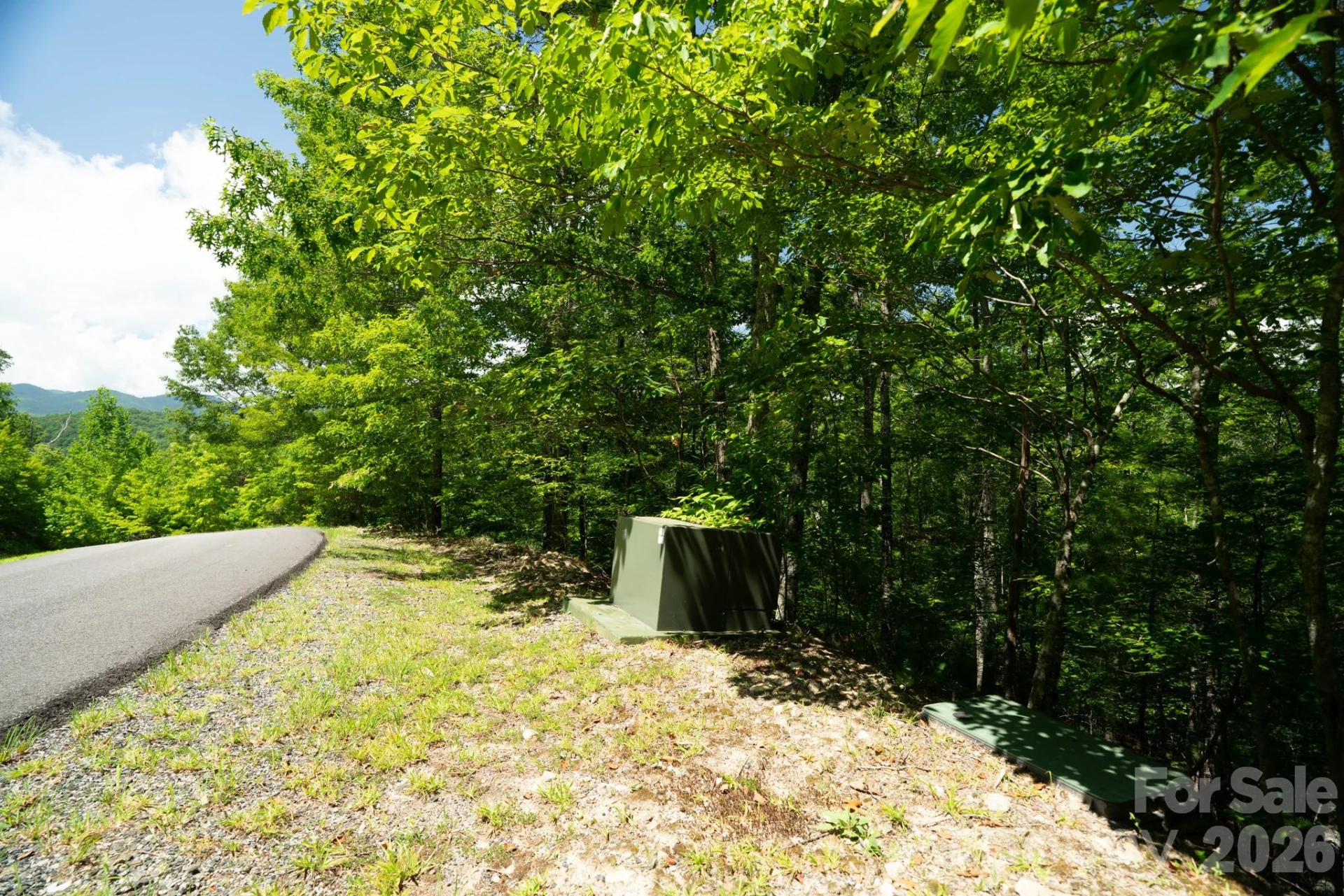 230 White Rapid Road #35 - Photo 5