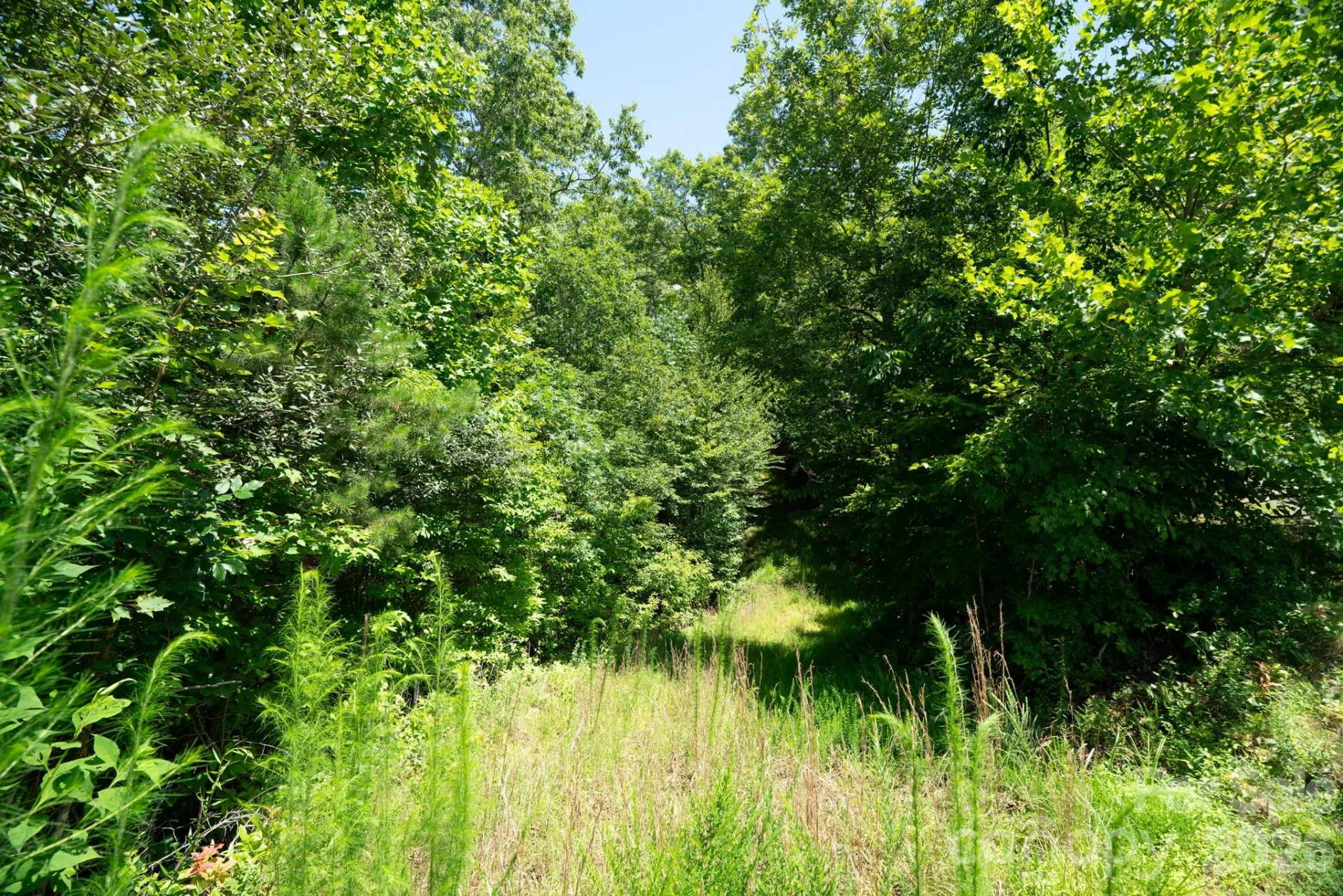 230 White Rapid Road #35 - Photo 8