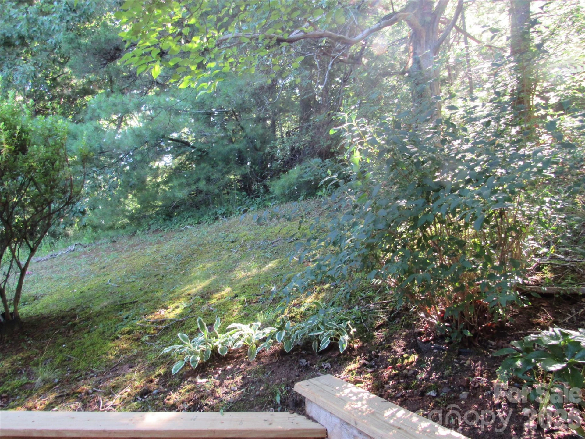 6 Woodlands Drive - Photo 4