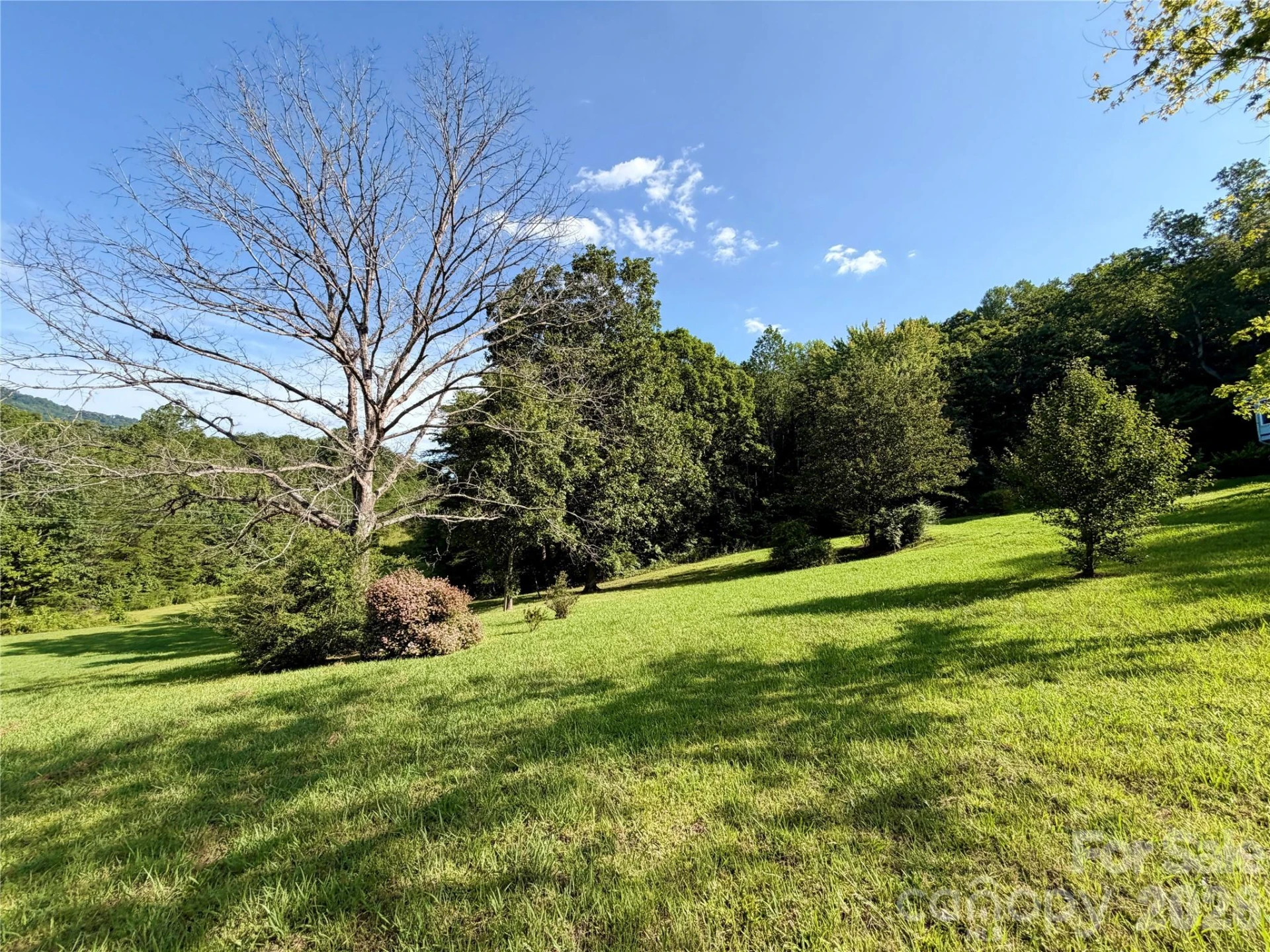 103 Farm Lane - Photo 6