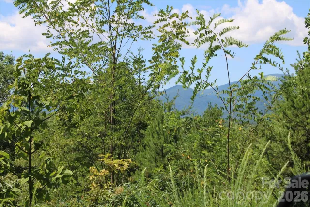 00 Sparrows Way, Lake Lure, NC, 28746