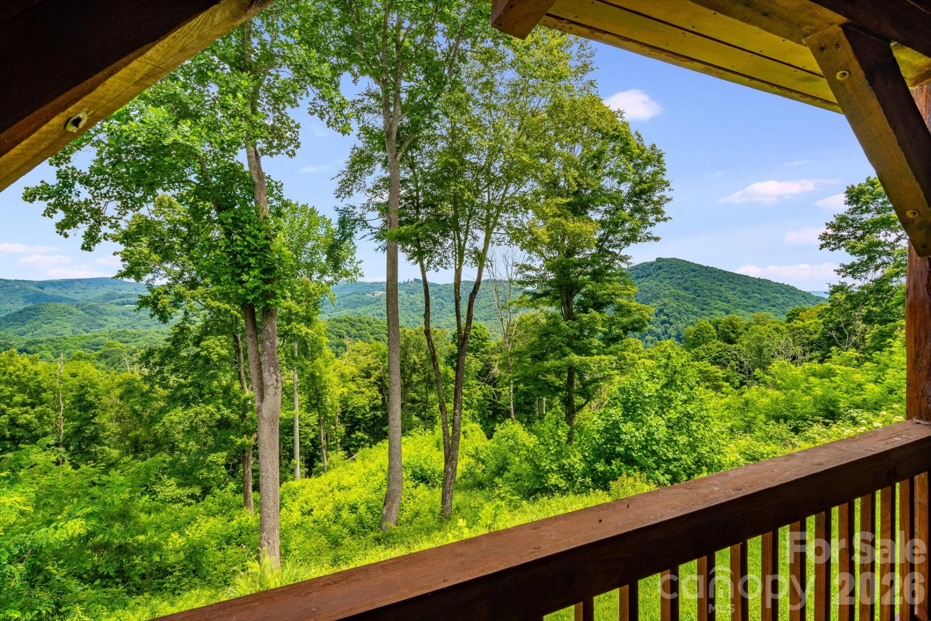1185 & 1115 Black Bear Drive - Photo 25