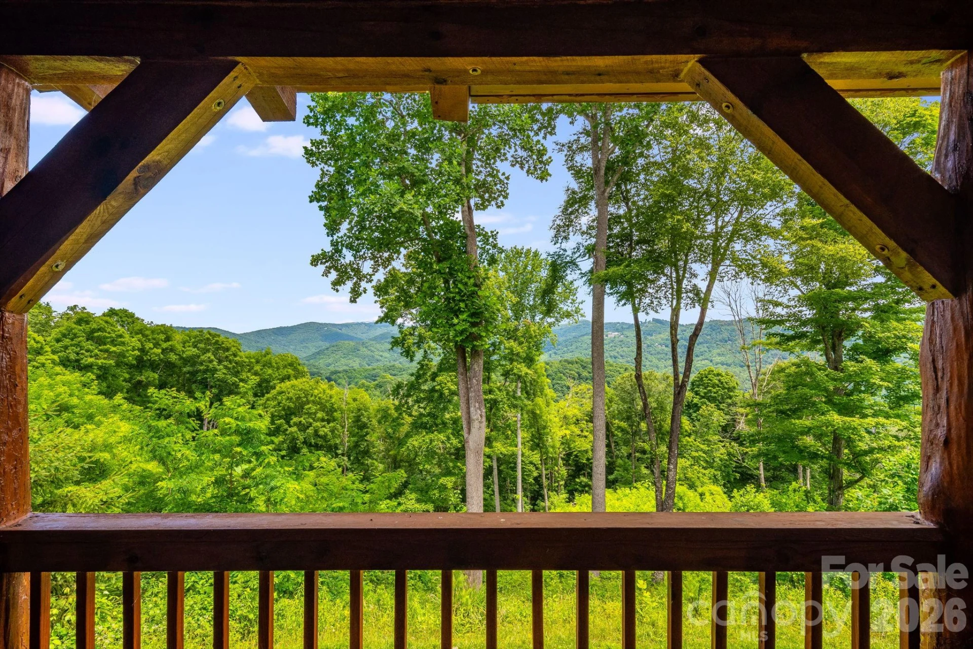 1185 & 1115 Black Bear Drive - Photo 27