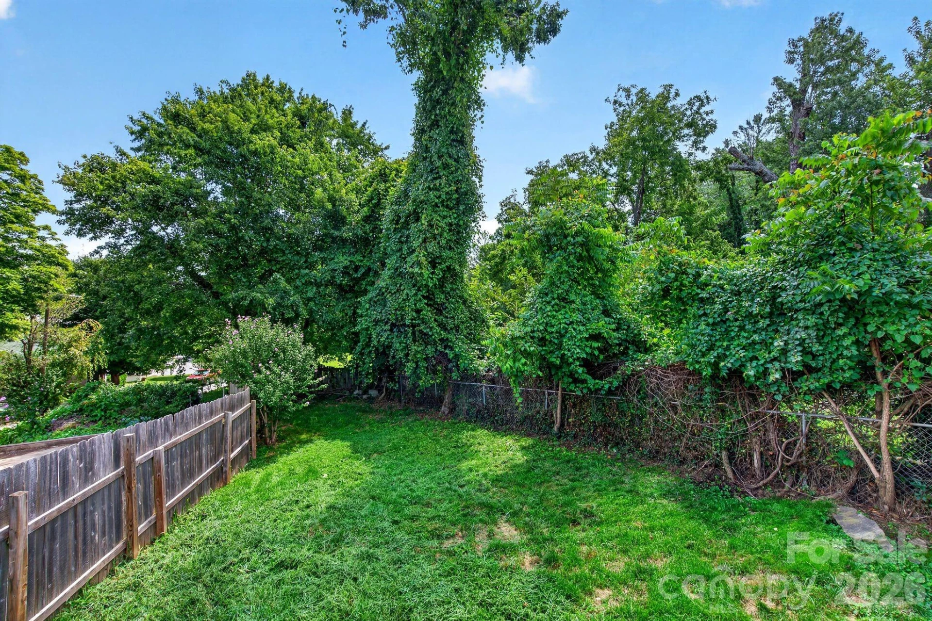 29 Mildred Avenue - Photo 20
