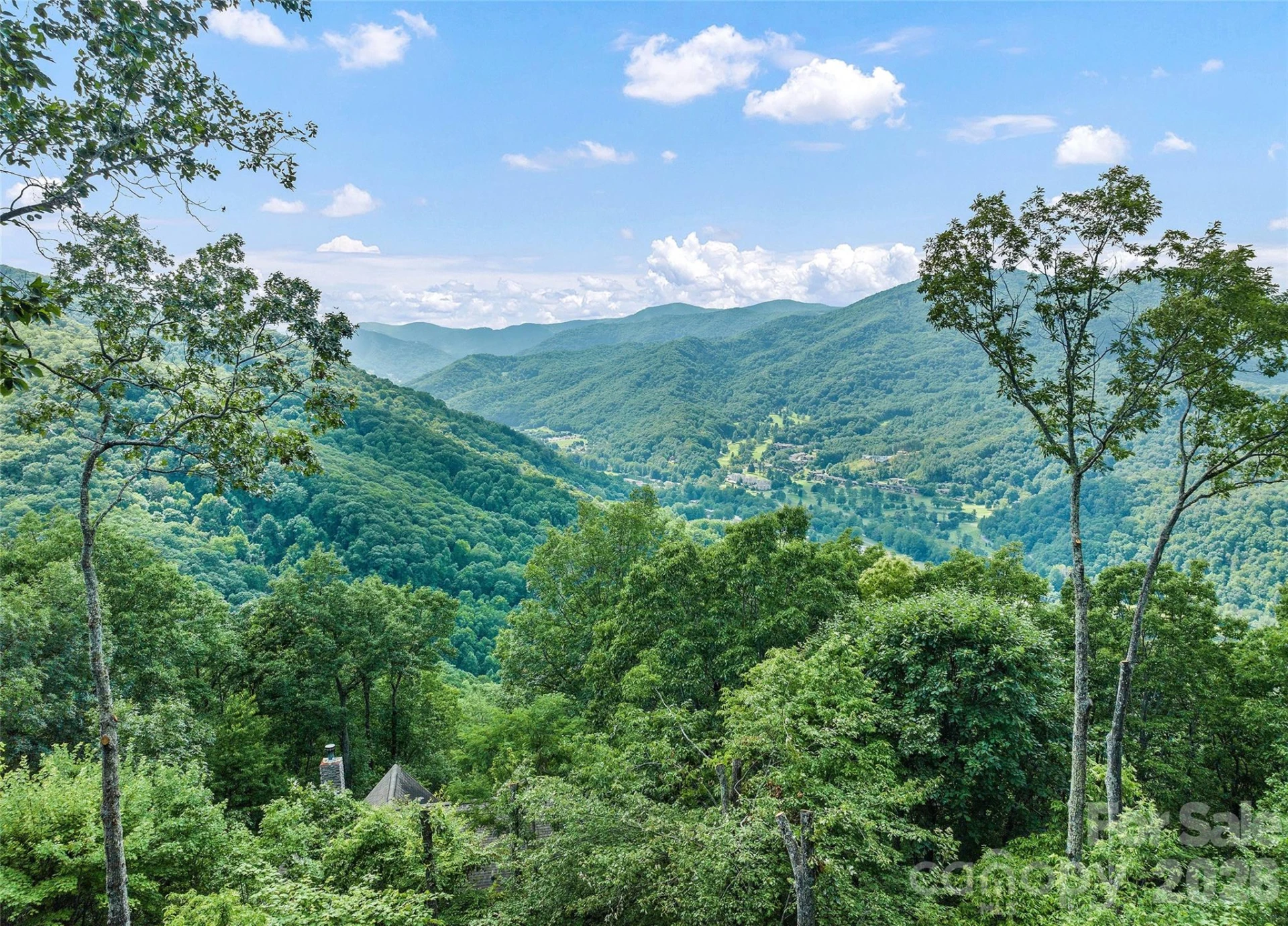 582 Tsalagi Trail - Photo 3