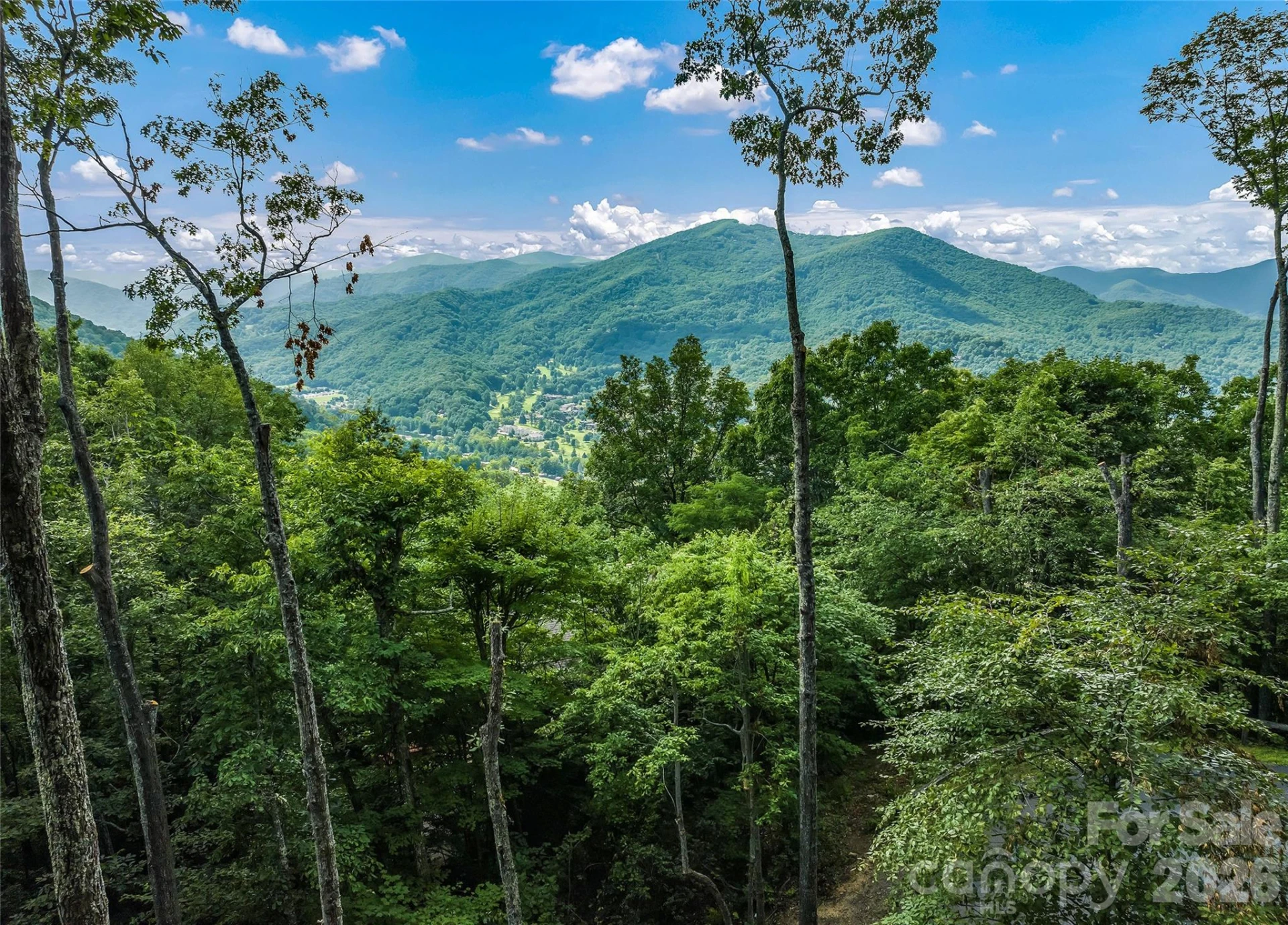 582 Tsalagi Trail - Photo 4