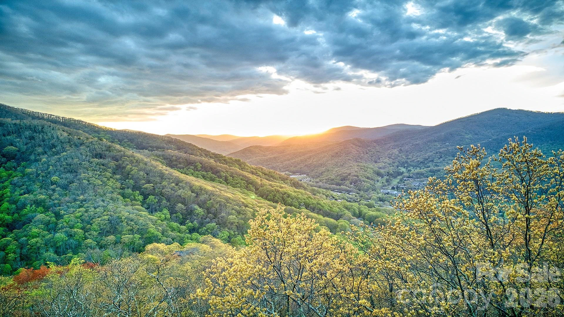 582 Tsalagi Trail - Photo 46
