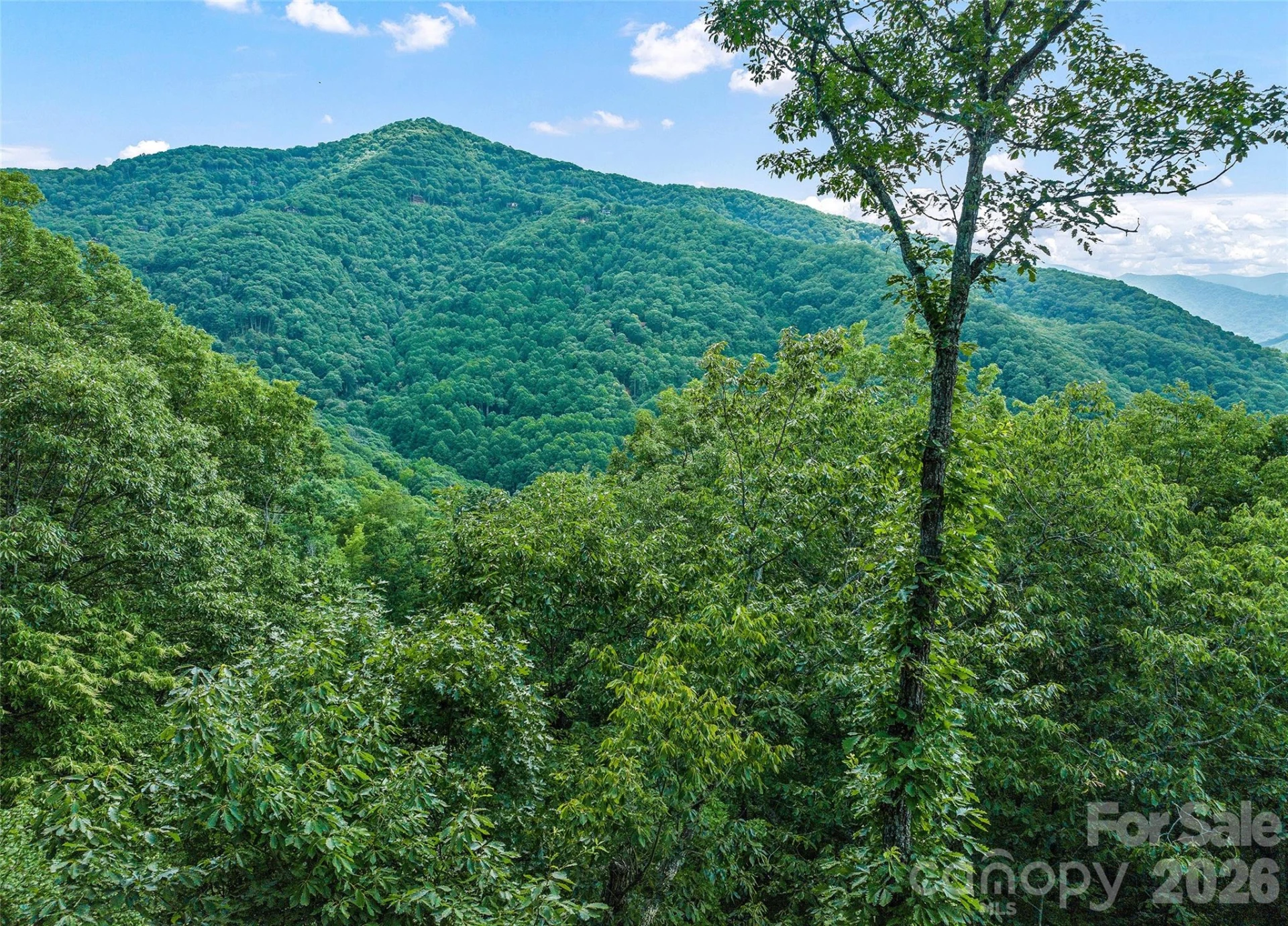 582 Tsalagi Trail - Photo 6