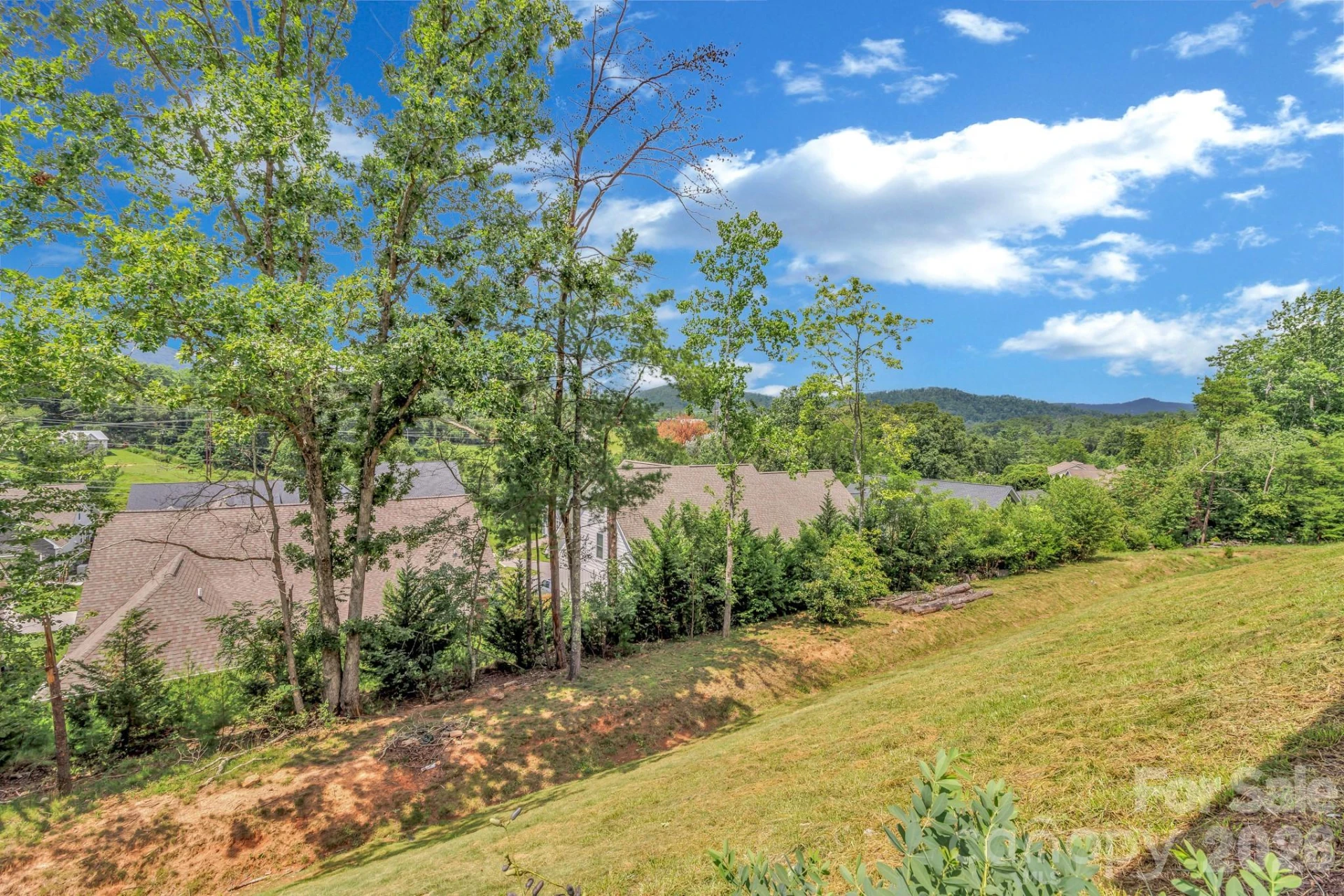 136 Ellis Lane - Photo 41